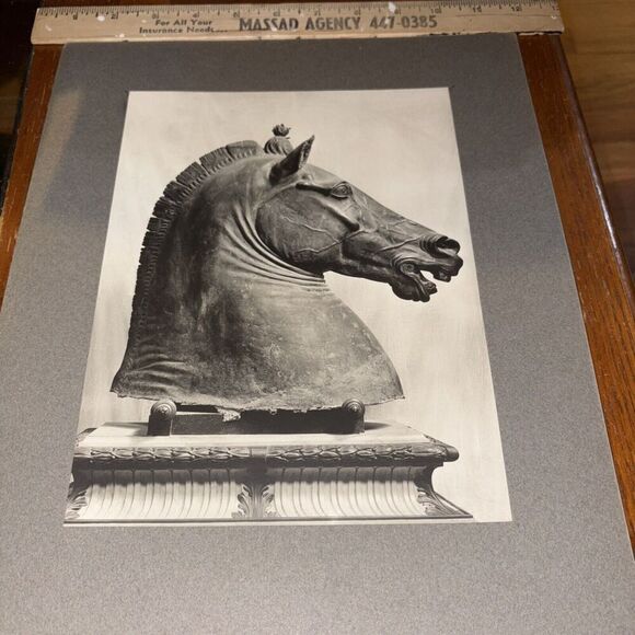 Vintage Head of Horse from Quadriga of Nero Greek Sculpture Mounted Photo Naples